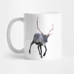 Rudolph the red-nosed Mug